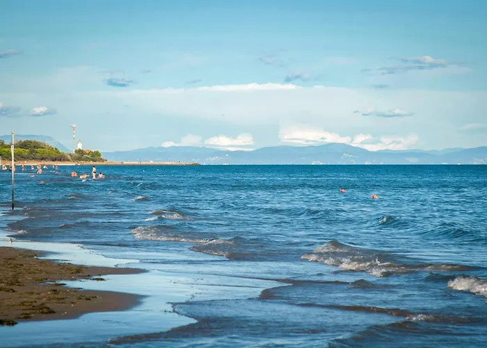 Apartamento In 41087 *