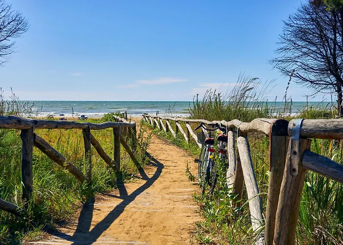 Apartamento In 41087 *